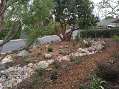 Very Zen Landscape — Landscape Design project by Ketti Kupper Conscious Life Design in Los Angeles