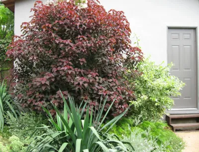 Ketti Kupper Conscious Life Design - Landscape Design in Altadena, CA