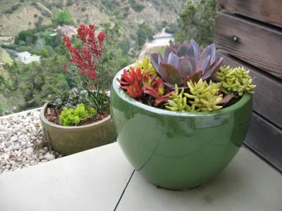 Narrow View Garden — Landscape Design project by Ketti Kupper Conscious Life Design