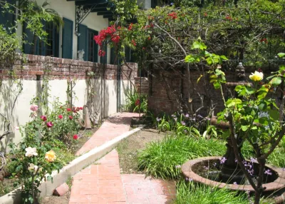 Colorful Shade Garden- Hollywood Hills by Ketti Kupper Conscious Life Design