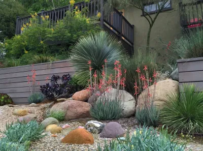 Conscious Stream Scape 2 Year Update - Silverlake by Ketti Kupper Conscious Life Design