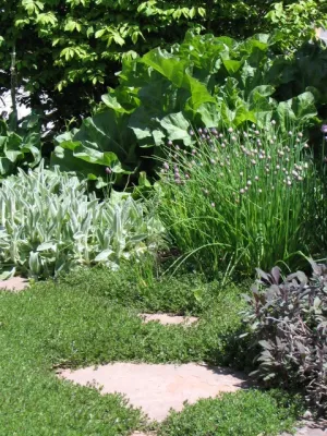 Alternative Land Design - Patio Design & Installation in Lakewood, CA