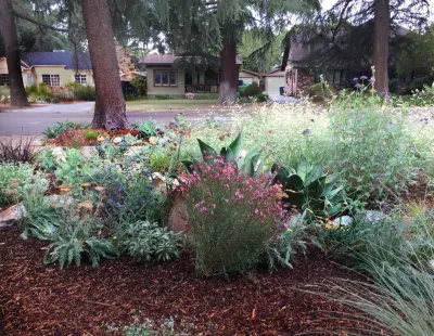 Colorful Watershed Front Landscape — Landscape Design project by Ketti Kupper Conscious Life Design