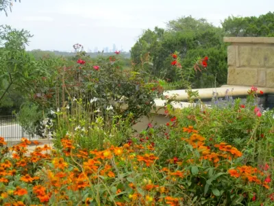 Kevin Wood Landscapes - Garden Remodeling in Austin, TX