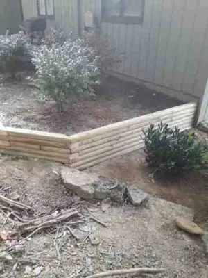Alberto Alavez Professional Lawn Services LLC - Tree & Shrub Care in Louisville, KY