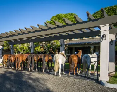 Biggest Horse Barn in the United States — Custom Home Builders project by Carolina Timberworks