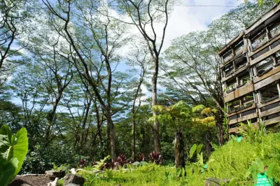 KI Concepts - Landscape Design in Honolulu, HI