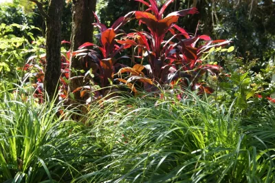 KI Concepts - Landscape Design in Honolulu, HI