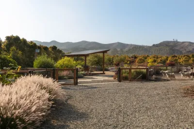 Kiesel Design - Landscape Architecture - Patio Design & Installation in Ventura, CA