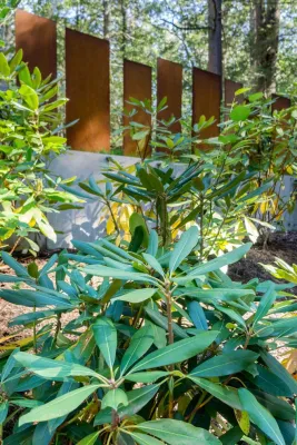 Kimberly Mercurio Landscape Architecture - Patio Design & Installation in Cambridge, MA