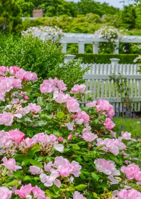 Cape Cod Home Chatham, Massachusetts by Kimberly Mercurio Landscape Architecture