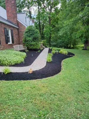 Alberto Alavez Professional Lawn Services LLC - Tree & Shrub Care in Louisville, KY