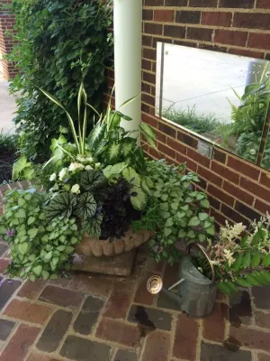 Kirkwood Home & Landscape - Garden Remodeling in Kirkwood, IL