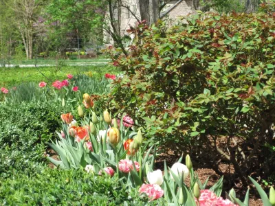 Kirkwood Home & Landscape - Garden Remodeling in Kirkwood, IL