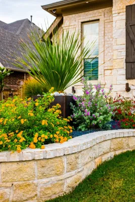 Alterra Landscape Design - Deck Building & Repair in Richardson, TX