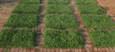 Kirsti Moestue Landscape Design - Garden Remodeling in Medfield, MA