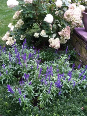 Kirsti Moestue Landscape Design - Garden Remodeling in Medfield, MA