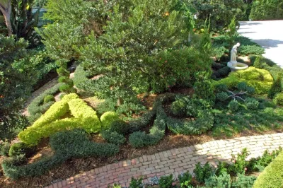 Miami Landscape Design Ideas — Landscape Design project by Knoll Landscape Design Miami