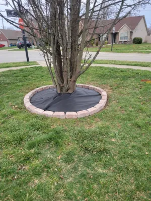 Alberto Alavez Professional Lawn Services LLC 11 — Landscape Construction project by Alberto Alavez Professional Lawn Services LLC