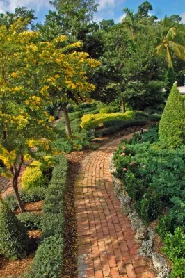 Knoll Landscape Design Miami - Landscape Design in Miami, FL