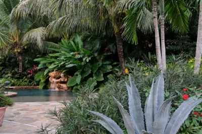 Tropical Landscape Design Miami — Landscape Design project by Knoll Landscape Design Miami