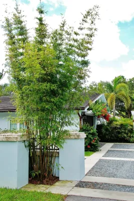 Knoll Landscape Design Miami - Landscape Design in Miami, FL