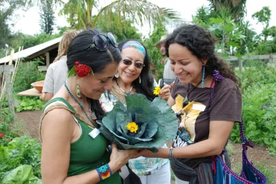 Edible Landscape Design Miami — Landscape Design project by Knoll Landscape Design Miami