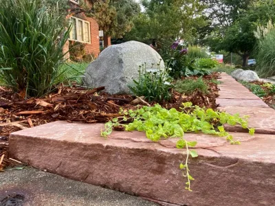 Symmington Residence — Landscape Design project by Knotty By Nature Landscapes