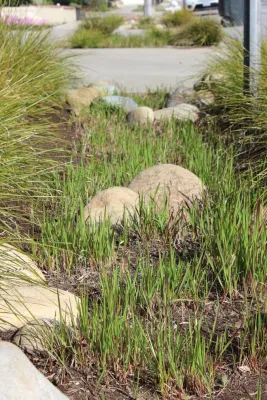Koheid Design - Landscape Construction in Huntington Beach, CA