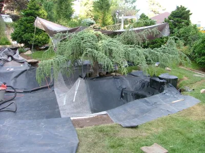 Koi Villa Water Garden Center - Landscape Design in West Warwick, RI