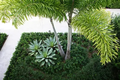Contemporary Palm Beach Florida Residence — Landscape Design project by Krent Wieland Design, Inc.
