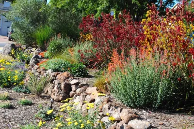 Good bye lawn, hello color! — Landscape Design project by Kristen Rudger Landscape Design in San Mateo