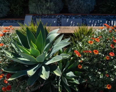 San Carlos Contemporary Patio and Kitchen by Kristen Rudger Landscape Design
