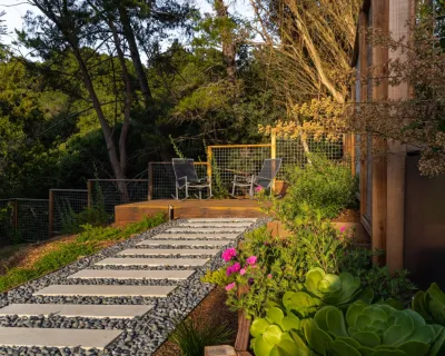 San Mateo Contemporary in a Natural Setting — Landscape Design project by Kristen Rudger Landscape Design in San Mateo