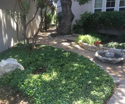 Ladybug Landscaping - Tree Planting & Transplanting in San Antonio, TX