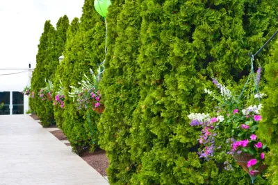 LaMond Design - Garden Remodeling in Cincinnati, OH