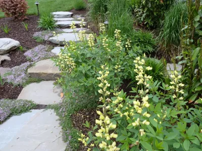 Stepping Stones — Landscape Design project by Land Art Design, Inc.