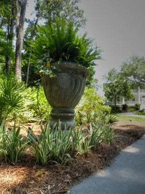 Land Design Associates - Landscape Design in Saint Simons Island, GA