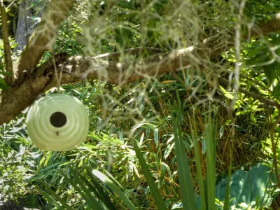 Land Design Associates - Landscape Design in Saint Simons Island, GA