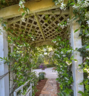 Land Design Associates - Landscape Design in Saint Simons Island, GA