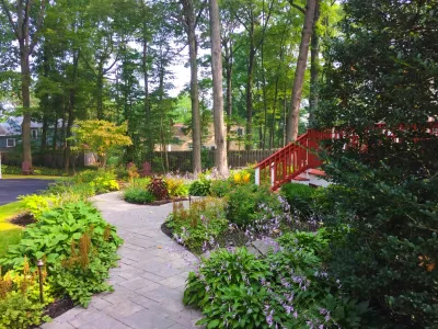 Woodland Backyard Planting Design in Fanwood — Landscape Design project by Land Identity