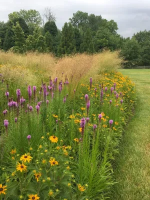 Land Stewards Ecological Landscape Design - Paver Installation in East Norriton, PA
