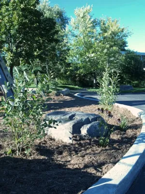 Ottawa Montessori School / École Montessori d'Ottawa — Landscape Design project by LandCurrent Landscape Architects