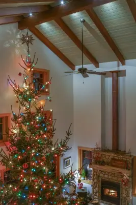 Timber Frame Grand Rooms — Custom Home Builders project by Carolina Timberworks