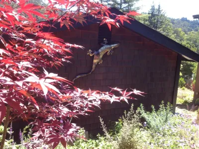 LANDesignNYC - Landscape Construction in Oakland, CA