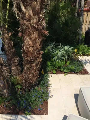 LandFluent Landscape Architecture - Landscape Design in San Clemente, CA