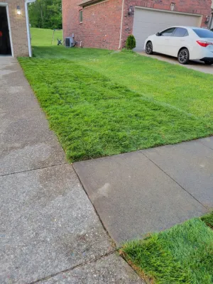Alberto Alavez Professional Lawn Services LLC 18 by Alberto Alavez Professional Lawn Services LLC