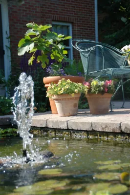 Bubbling Pond — Landscape Design project by Landscape Architecture, LLC