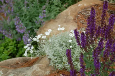 Landscape Architecture, LLC - Landscape Design in Madison, WI