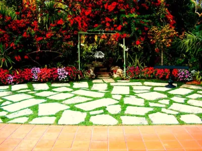 Secret Garden — Landscape Design project by Amazing Outdoors Miami in Miami